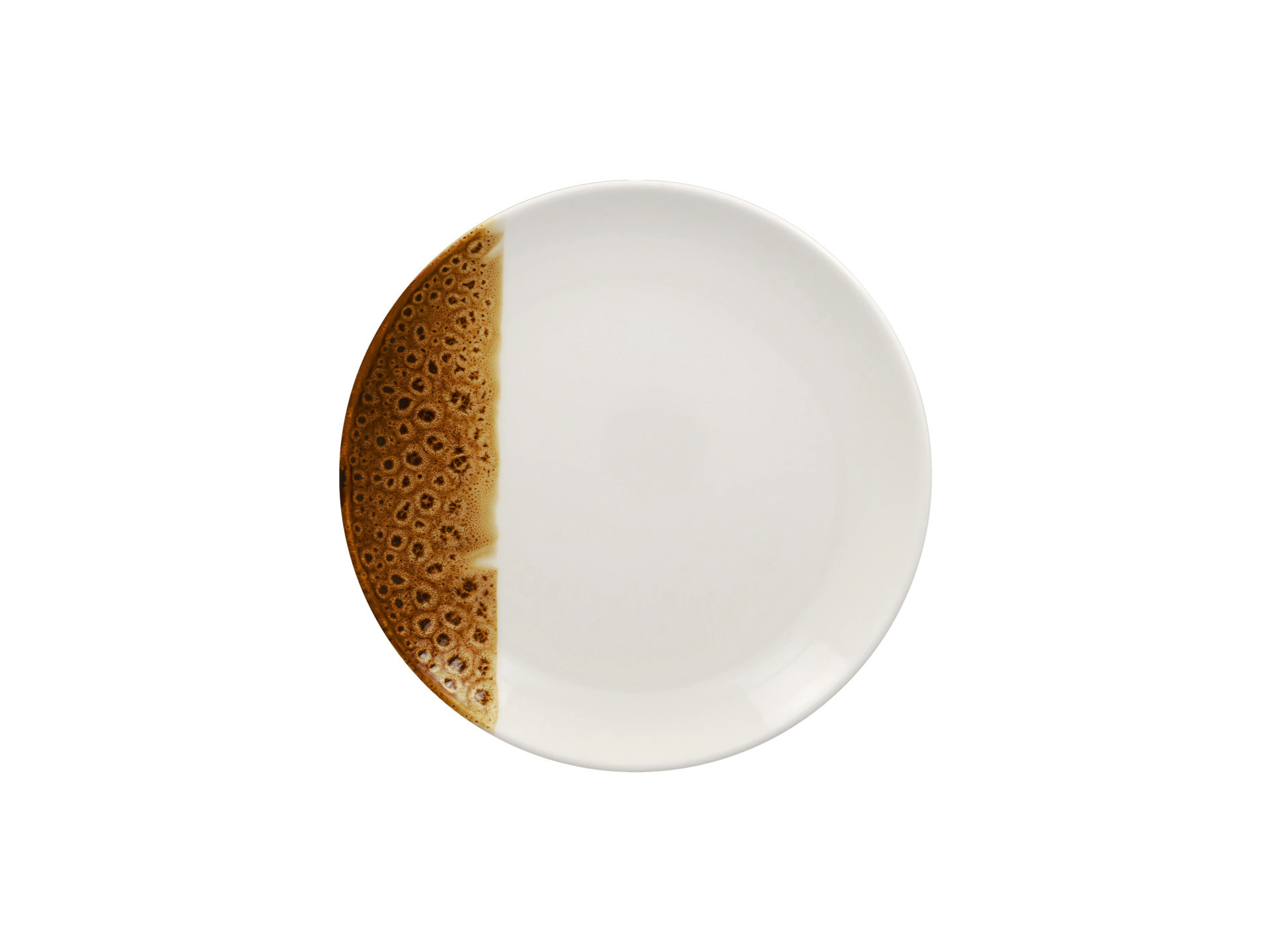 Coupteller flach 240 mm Wild