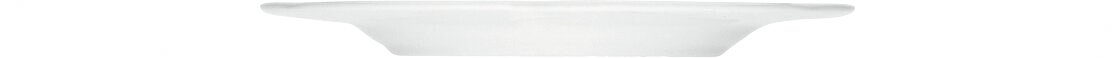 Teller flach mit Fahne 204 mm