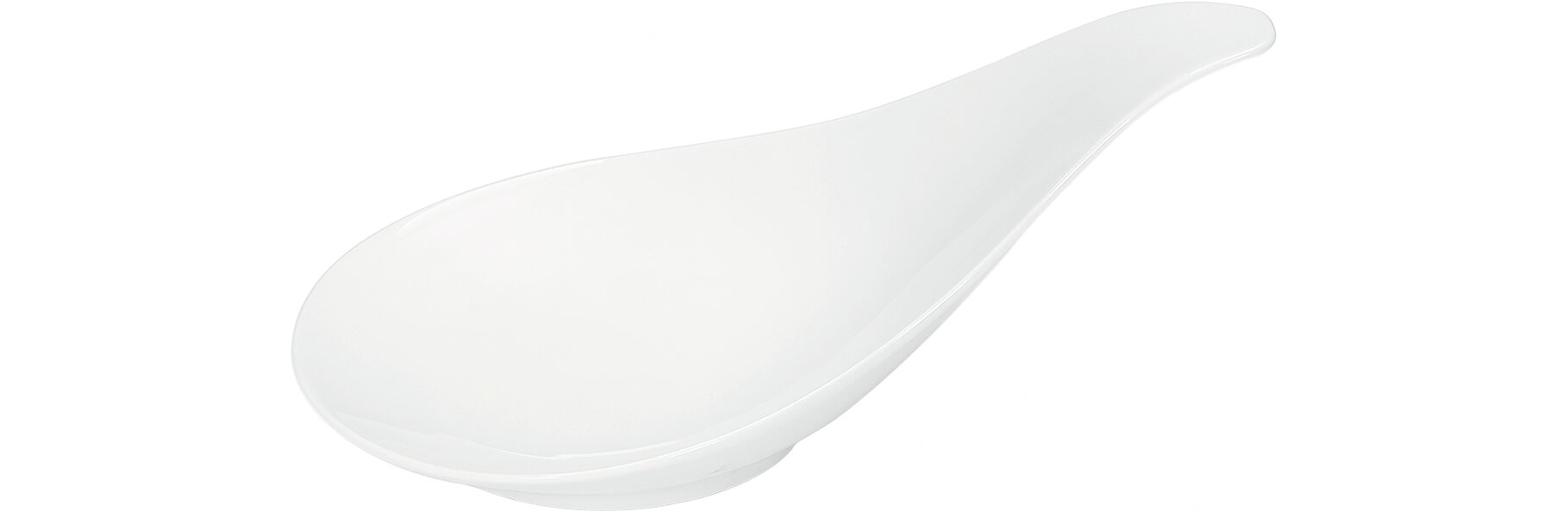Agavenblatt 240 x 155 x 117 mm weiß Canvas