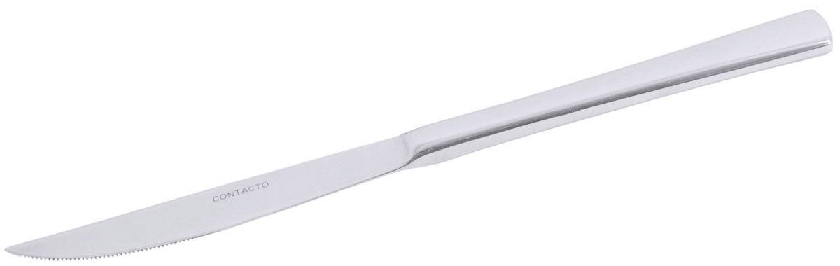 Steakmesser 220 mm hochglänzend