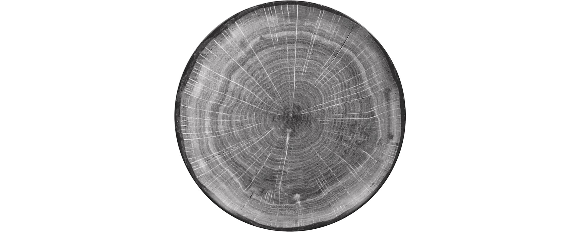 Coupteller flach 210 mm beech-grey Woodart