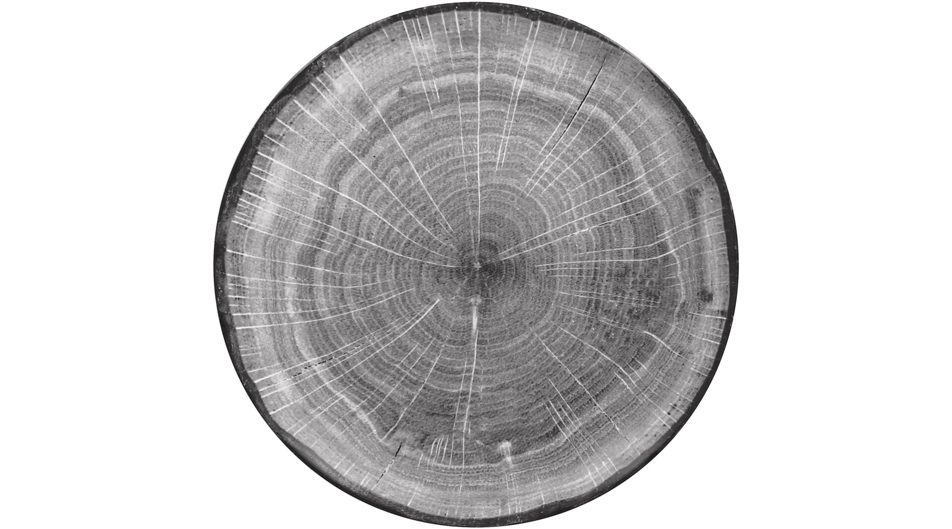 Coupteller flach 290 mm beech-grey Woodart