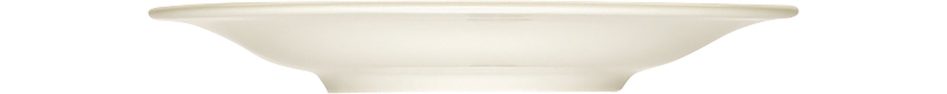 Teller flach 290 mm