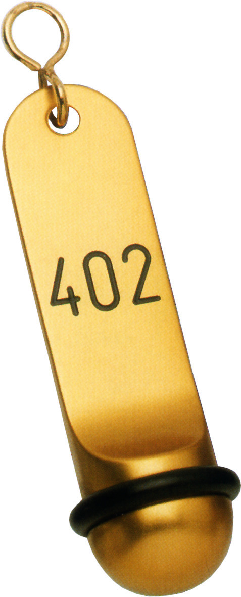 Hotel-Schlüsselanhänger 30 x 115 mm gold
