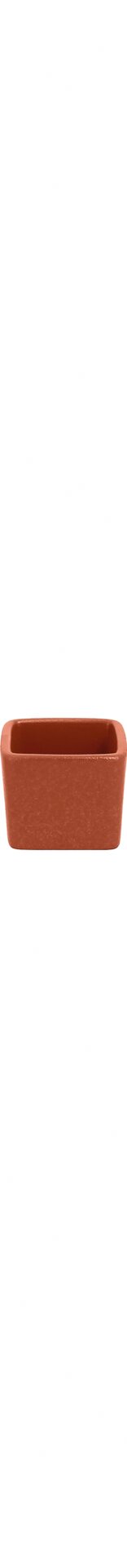 Kubus klein 50 x 50 x 45 mm / 0,06 l terra Neofusion