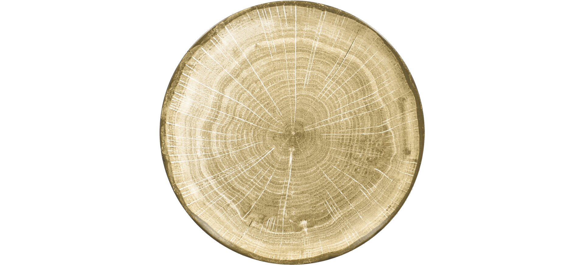 Coupteller flach 240 mm moss-green Woodart