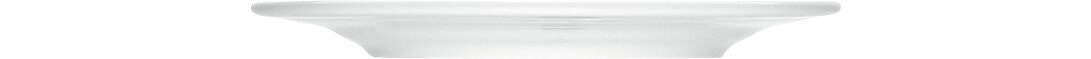Teller flach mit Fahne 202 mm