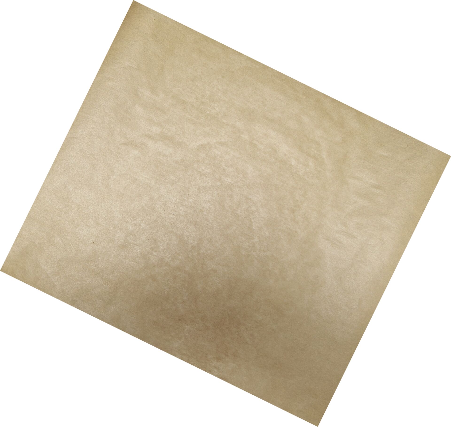 Backtrennpapier 2/3 GN, 1000er Pack