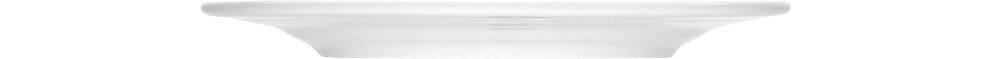 Teller flach mit Fahne 241 mm