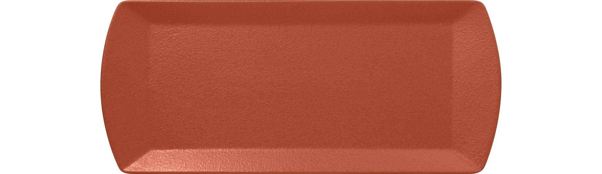 Sandwichplatte 350 x 150 mm terra Neofusion