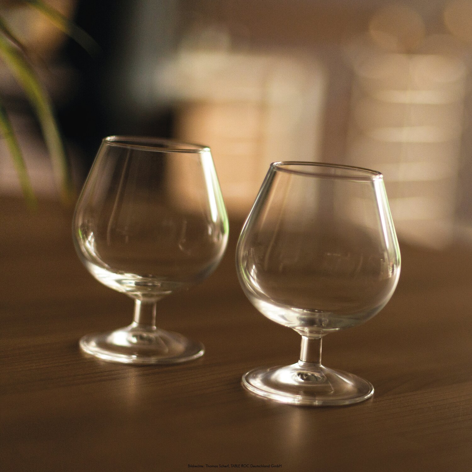 Cognacschwenker Degustation "4" 67 mm / 0,15 l transparent