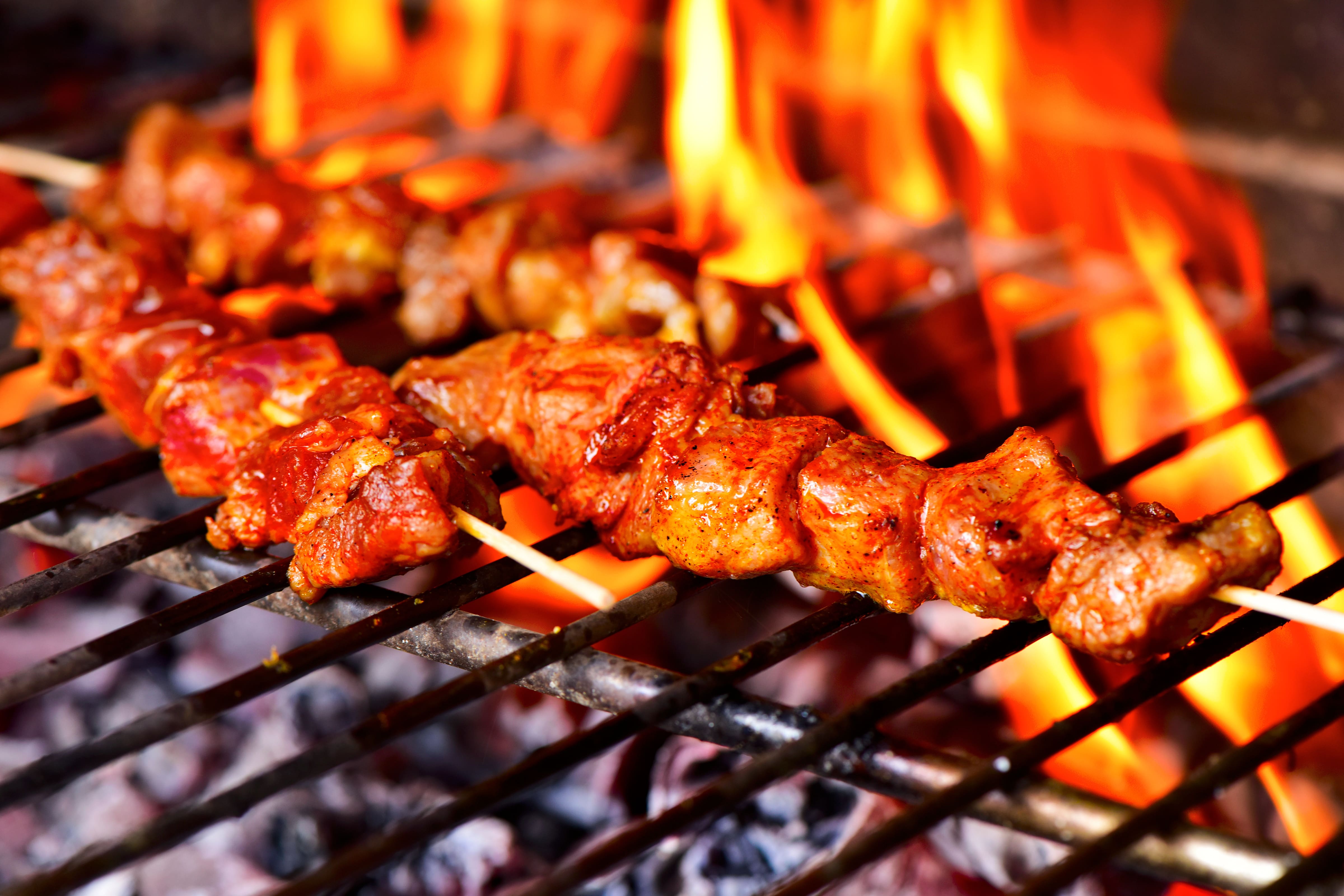 Gastro Grills
