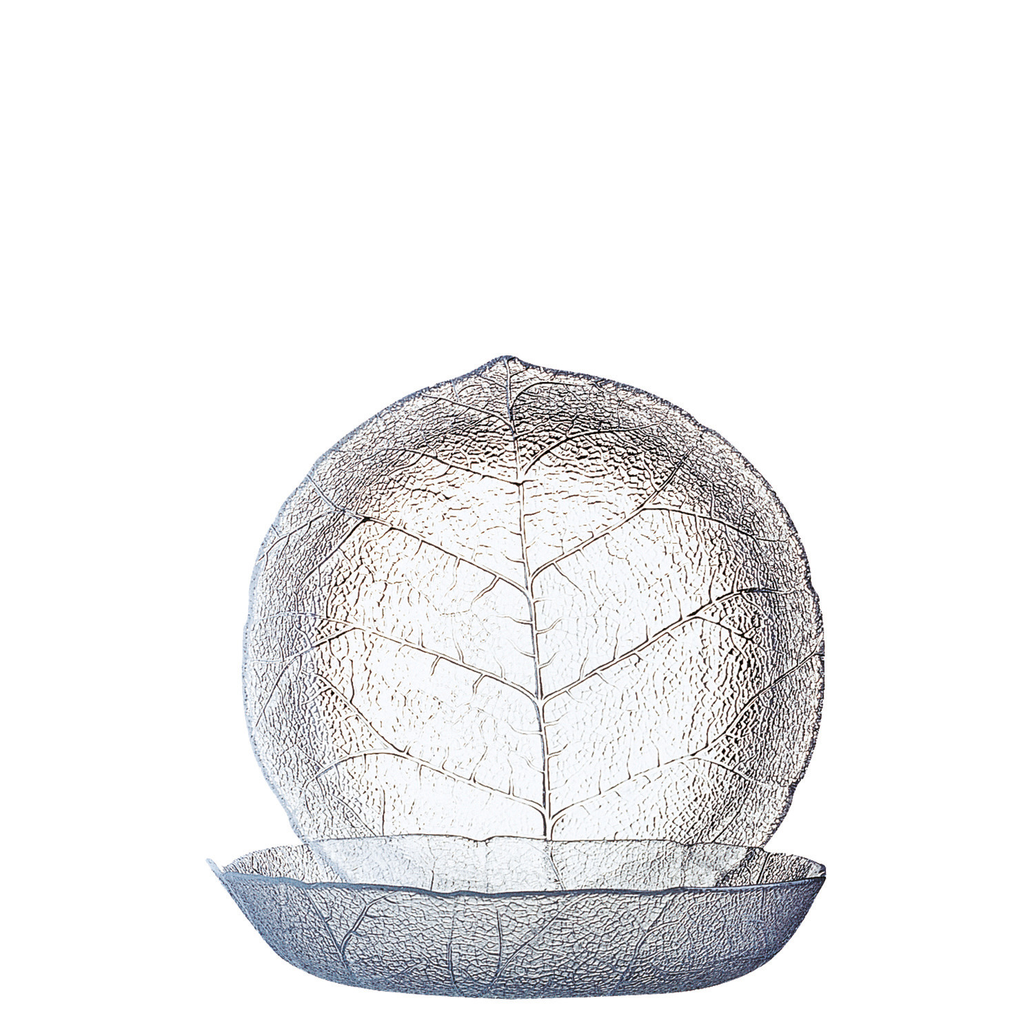 Teller tief 205 mm transparent