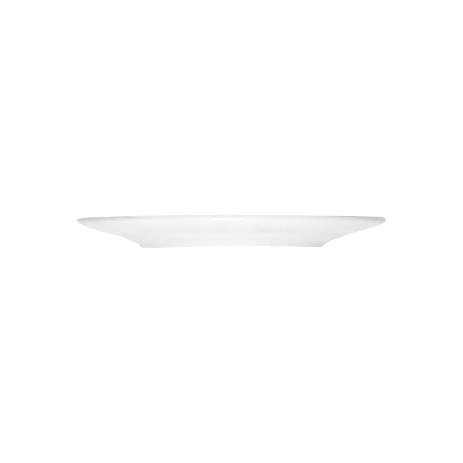 Teller flach mit Fahne 242 mm