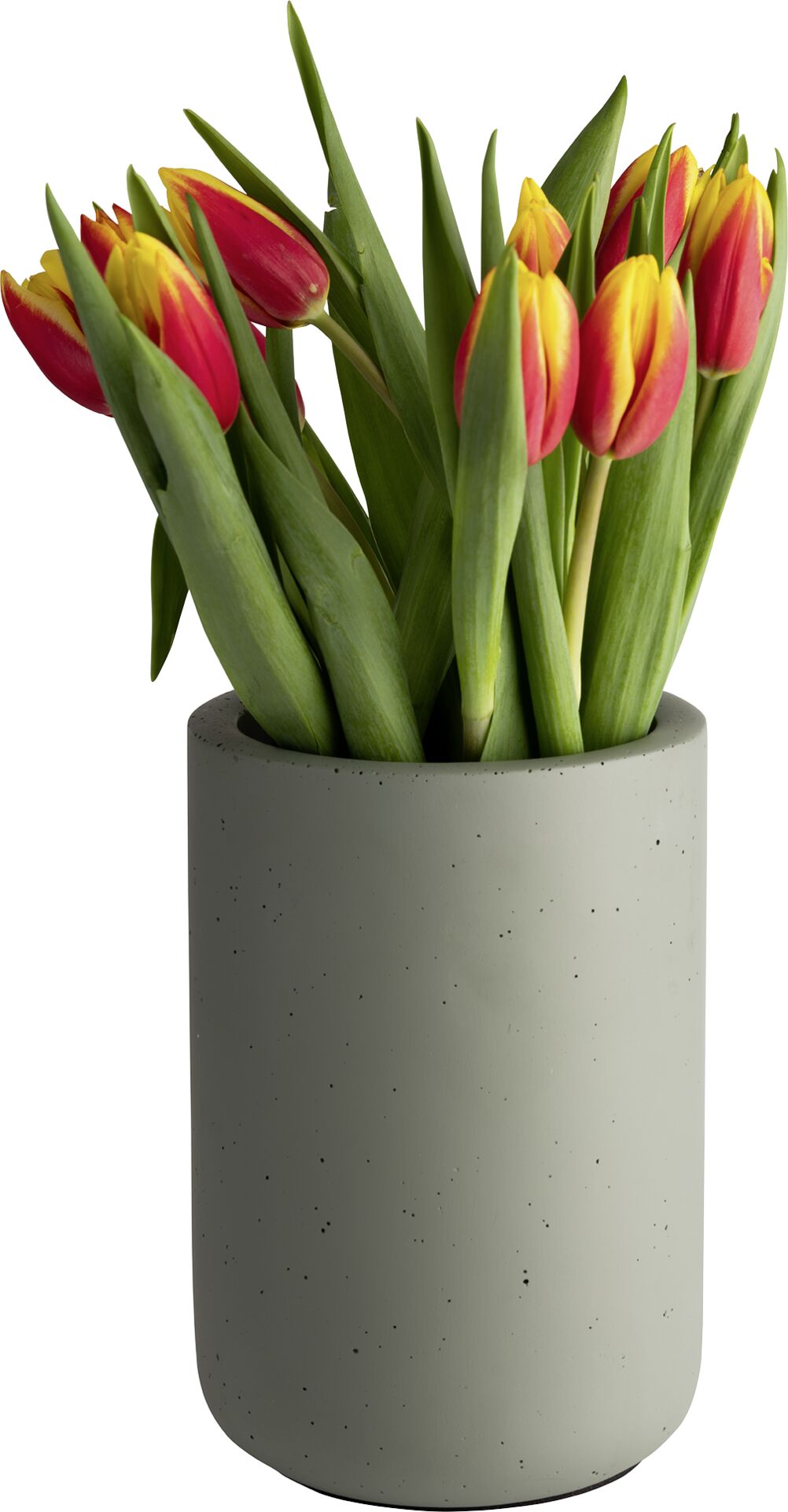 Flaschenkühler "Element" Beton olivgrün