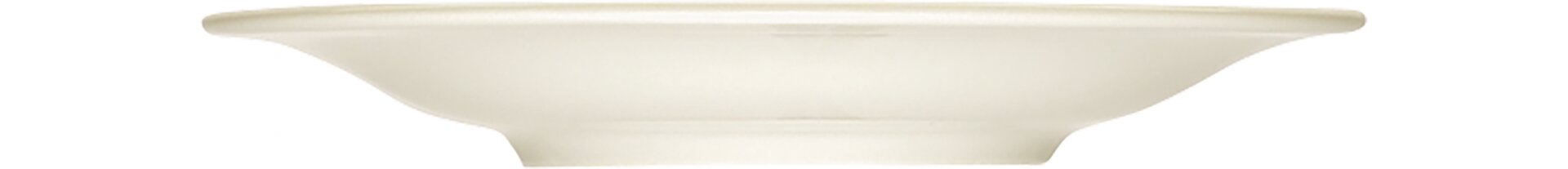 Teller flach 313 mm