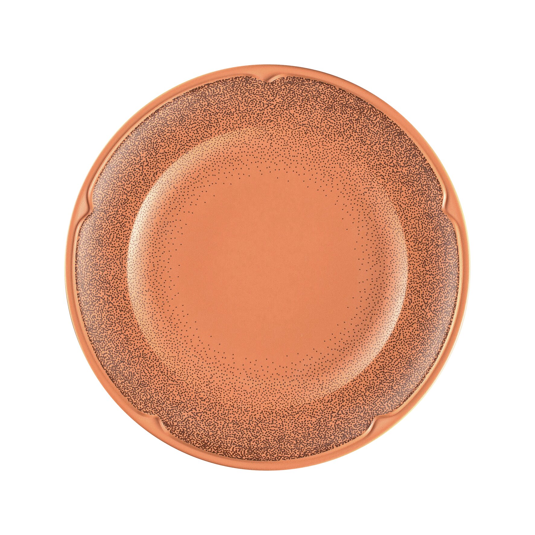 Teller flach 237 mm Tero Denia