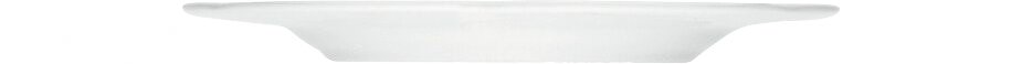 Teller flach mit Fahne 246 mm