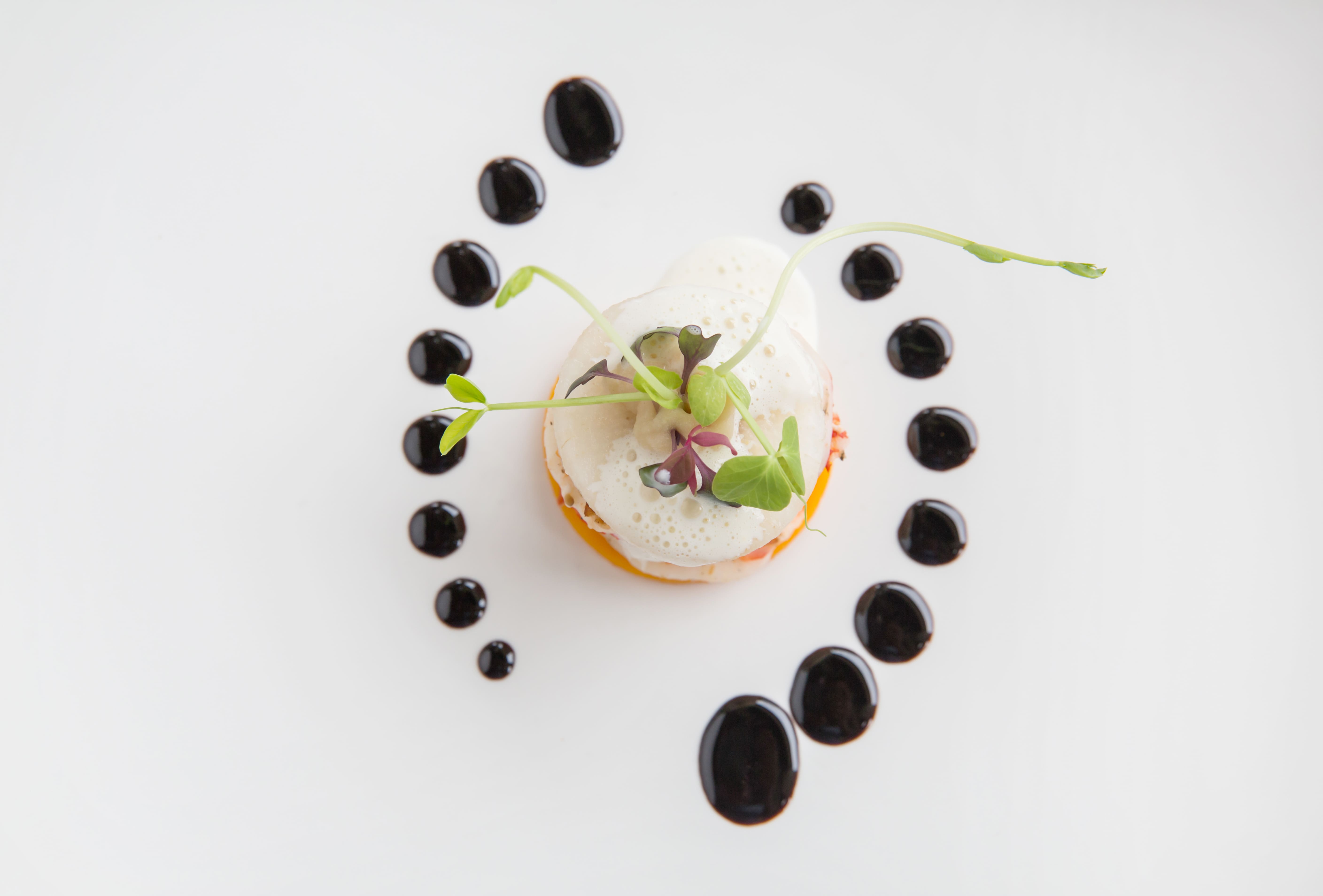salamander-gastro-online-kaufen