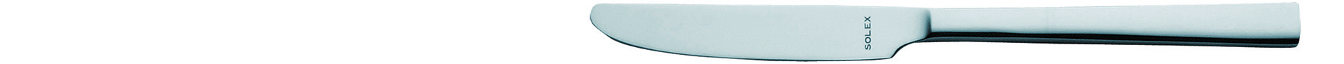 Buttermesser Monoblock 175 mm ohne Wellenschliff