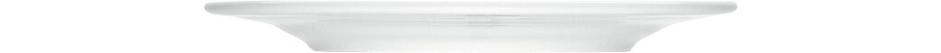 Teller flach mit Fahne 231 mm