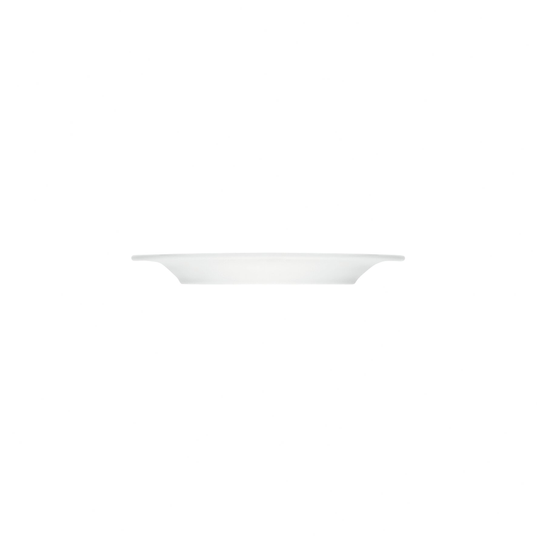 Teller flach mit Fahne 201 mm
