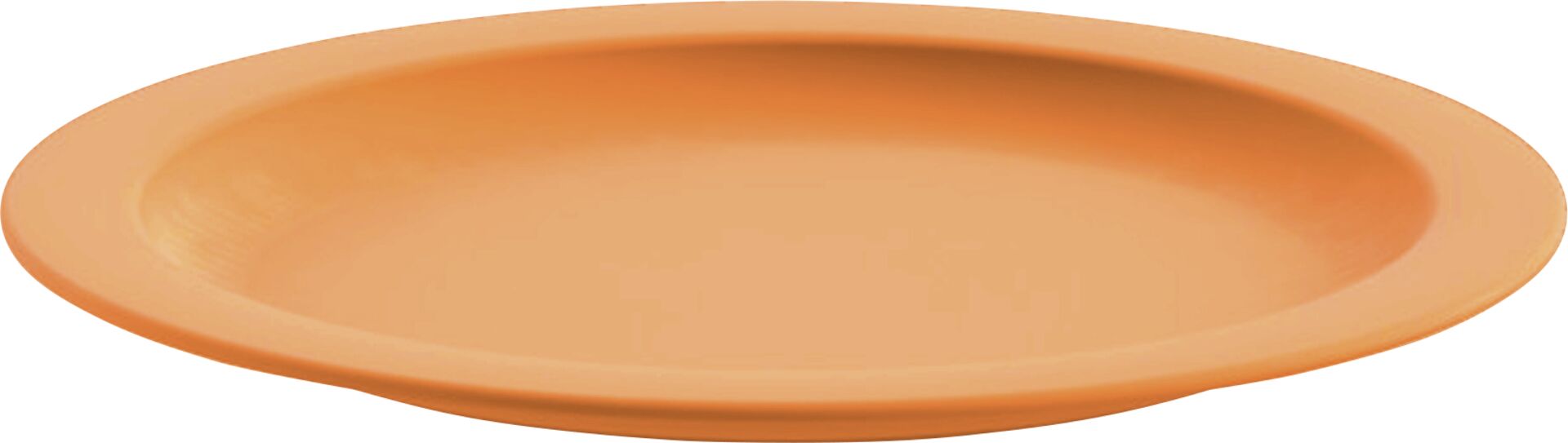 Teller flach "PBT" 24,1 cm orange