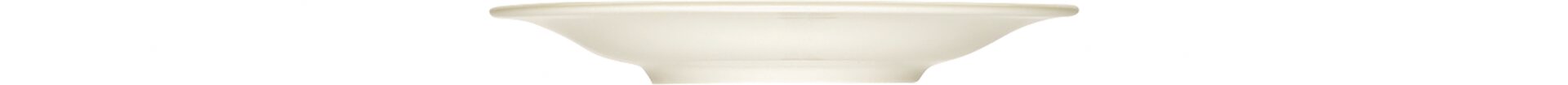 Teller flach 158 mm